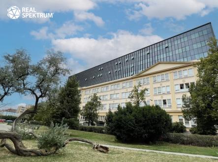 Pronájem kanceláře, 433 m²