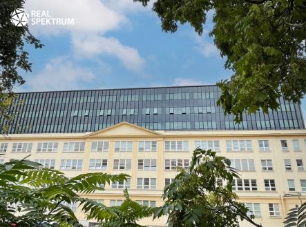 Pronájem kanceláře, 433 m²