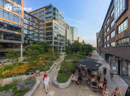 Pronájem kanceláře, 388 m²