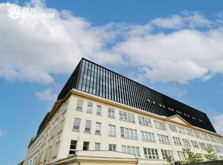 Pronájem kanceláře, 202 m²