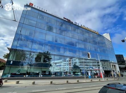 Pronájem kanceláře, 221 m²