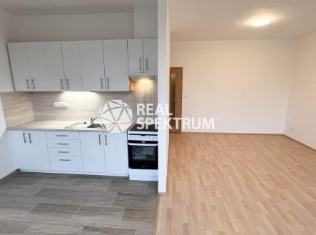 Pronájem bytu, 1+kk, 41 m²