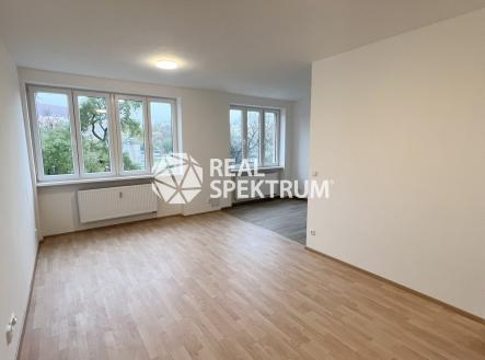 Pronájem bytu, 1+kk, 41 m²