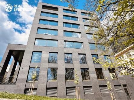 Pronájem kanceláře, 613 m²
