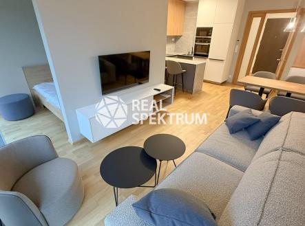 Pronájem bytu, 1+kk, 43 m²