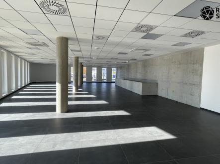 Pronájem obchodní prostor, 454 m²