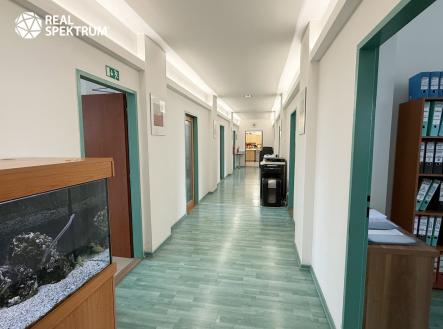 Pronájem kanceláře, 370 m²