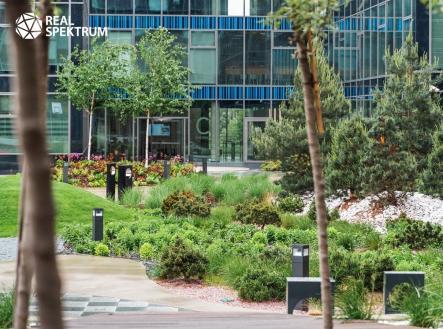 Pronájem kanceláře, 535 m²