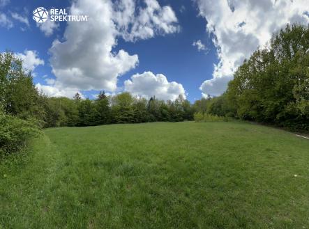 Prodej pozemku pro bydlení, 4 838 m² obrázek