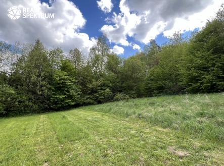 Prodej pozemku pro bydlení, 4 838 m²