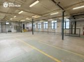 Pronájem komerčního objektu, sklad, 334 m²