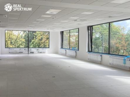 Pronájem kanceláře, 480 m²