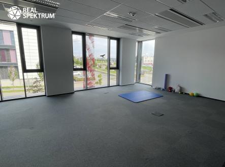 Pronájem kanceláře, 572 m²