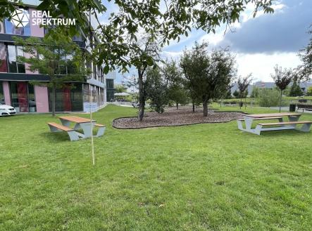 Pronájem kanceláře, 572 m²