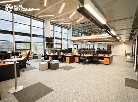 Pronájem kanceláře, 983 m²