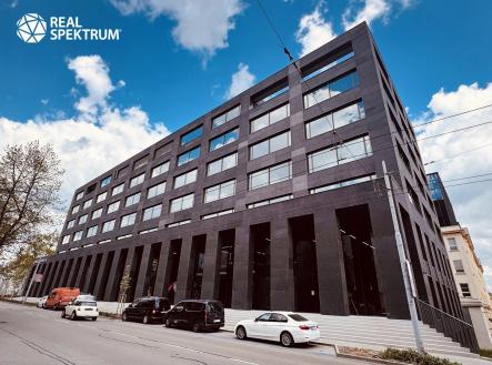 Pronájem kanceláře, 241 m²