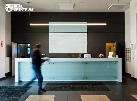 Pronájem kanceláře, 626 m²