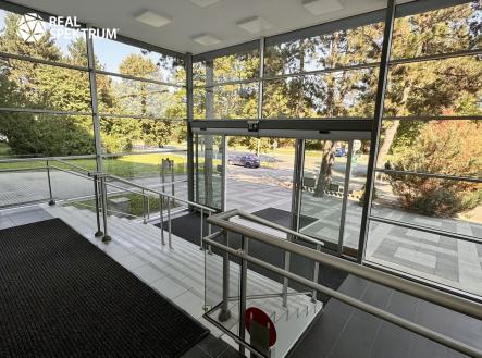 Pronájem kanceláře, 313 m²