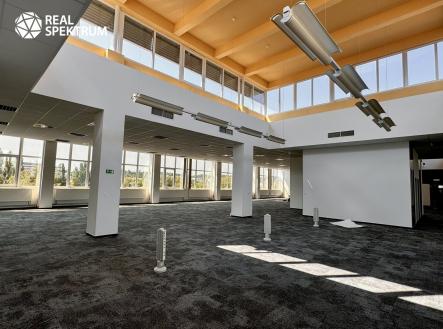 Pronájem kanceláře, 1 145 m²