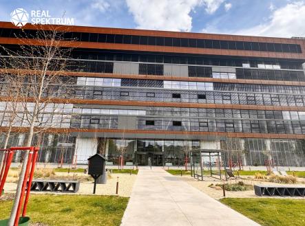 Pronájem kanceláře, 379 m²