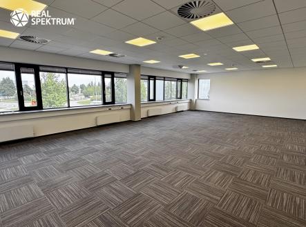 Pronájem kanceláře, 294 m²