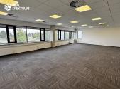 Pronájem kanceláře, 294 m²