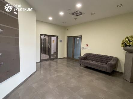 Pronájem kanceláře, 302 m²