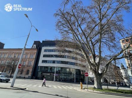 Pronájem kanceláře, 302 m²