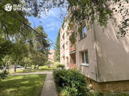 Pronájem bytu, 2+1, 60 m²