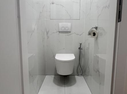 Pronájem bytu, 2+1, 60 m²