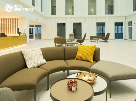 Pronájem kanceláře, 297 m²