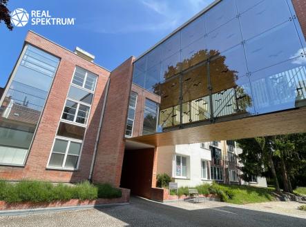 Pronájem kanceláře, 117 m²