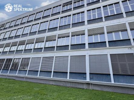 Pronájem kanceláře, 200 m²