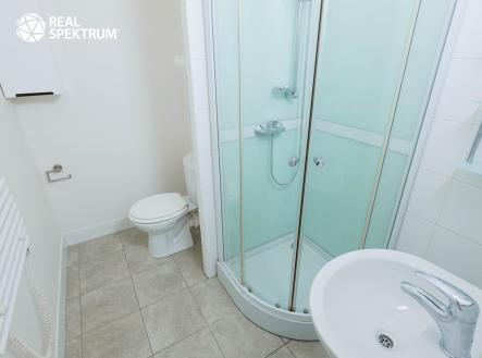 Prodej bytu, 1+kk, 30 m²