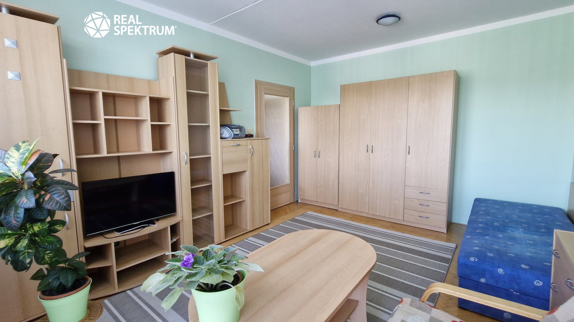 pronájem-bytu-1+1-Černého_01