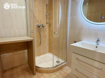 Pronájem bytu, 1+1, 46 m²