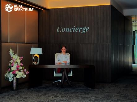 Pronájem kanceláře, 263 m²