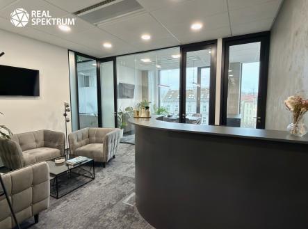 Pronájem kanceláře, 263 m²