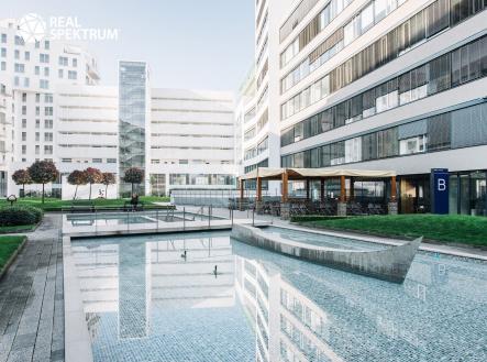 Pronájem kanceláře, 220 m²