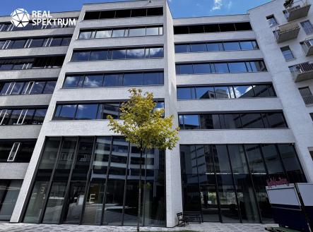 Pronájem kanceláře, 220 m²