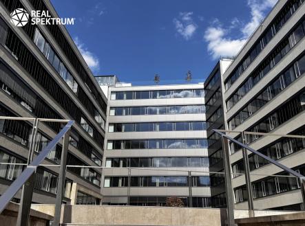 Pronájem kanceláře, 660 m²