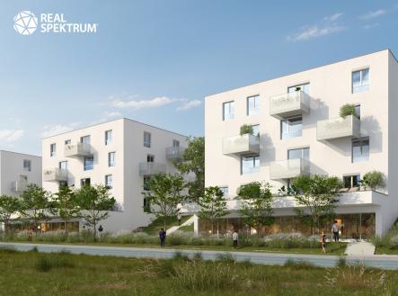 Pronájem obchodní prostor, 173 m²