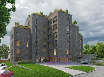 Pronájem obchodní prostor, 44 m²