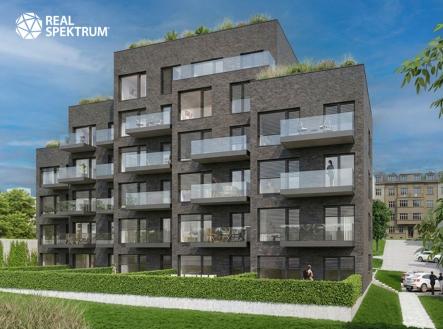 Pronájem obchodní prostor, 44 m²