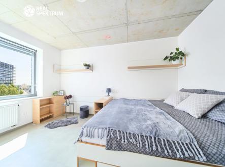 Pronájem bytu, 1+kk, 24 m²