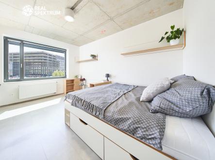 Pronájem bytu, 1+kk, 24 m²