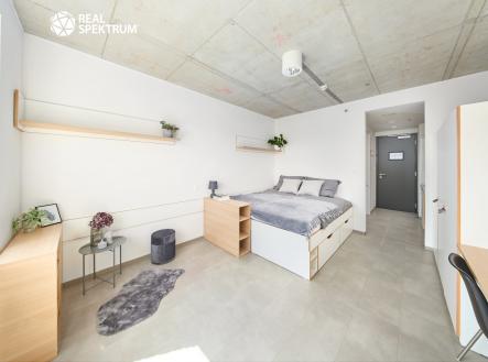 Pronájem bytu, 1+kk, 24 m²