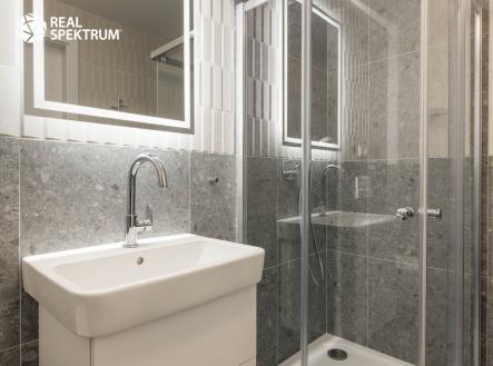 Pronájem bytu, 1+kk, 47 m²