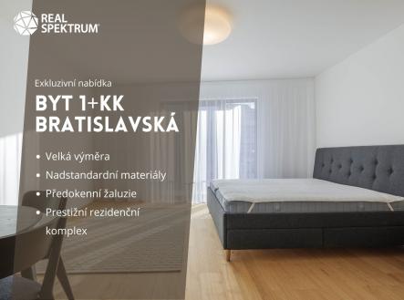 Pronájem bytu, 1+kk, 47 m²