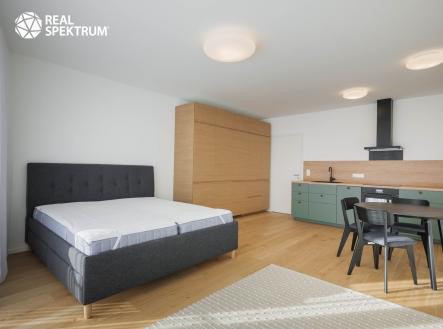 Pronájem bytu, 1+kk, 47 m²